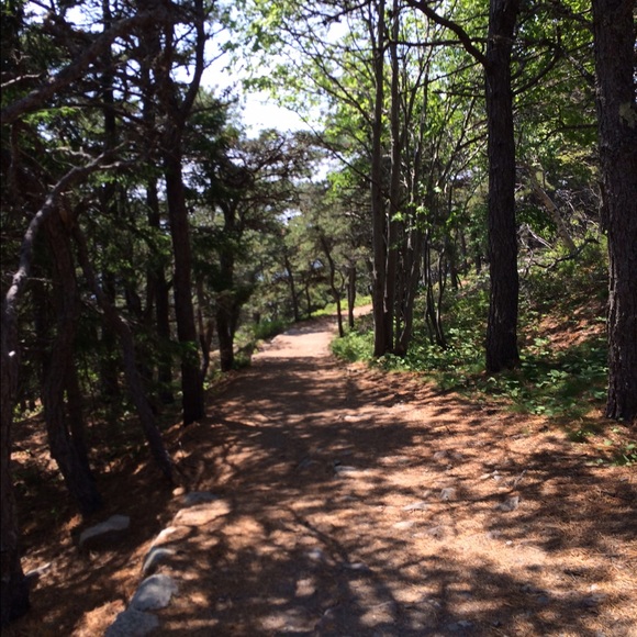 Meet your Posher, Sam