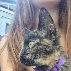 Meet your Posher, Summer