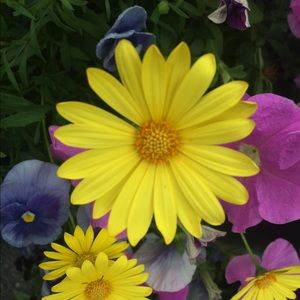 Meet your Posher, Madeline