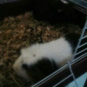 Meet your Posher, Alison