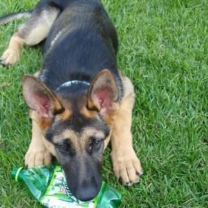 Meet your Posher, Cheryl