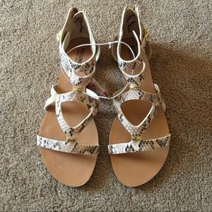 Mossimo Women's Wendi Gladiator Sandals