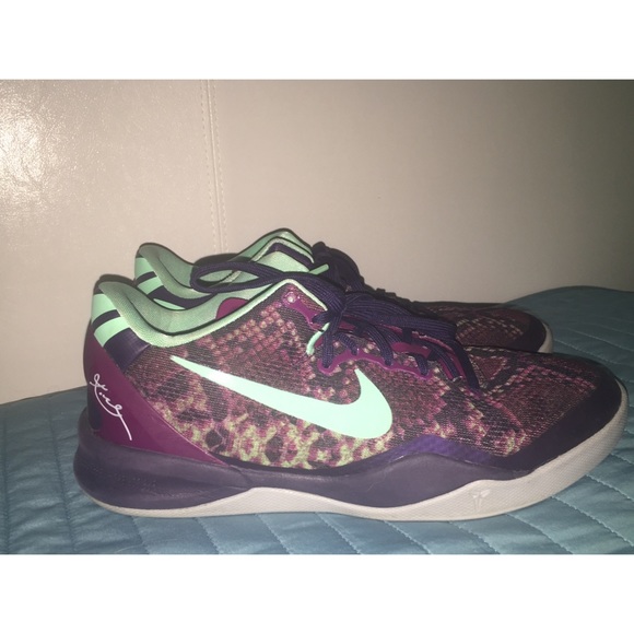 Kobe Pit Viper