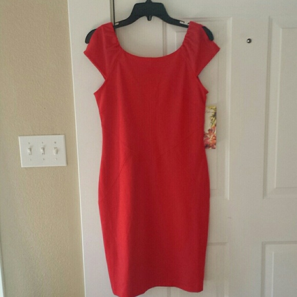 Lapis Dresses & Skirts - Sale- Gorgeous Red Dress