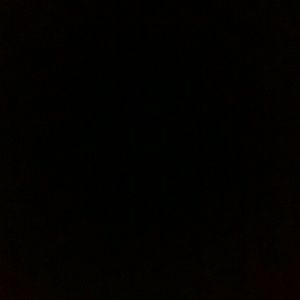 Meet your Posher, Celia