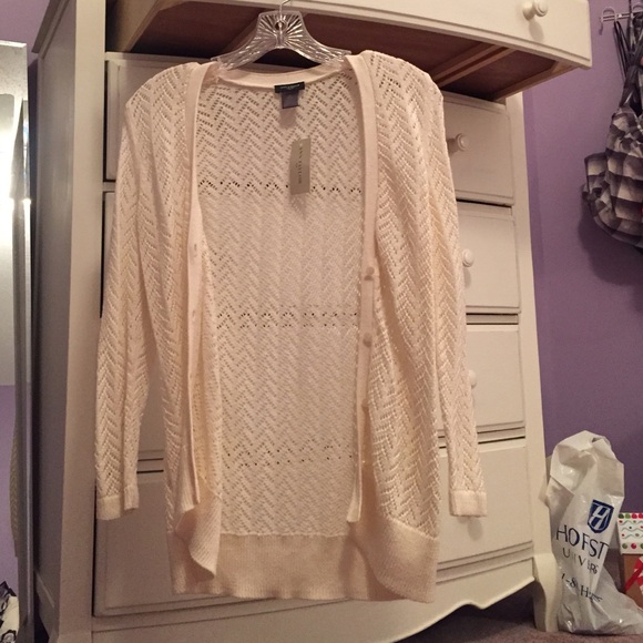 Ann Taylor sweater