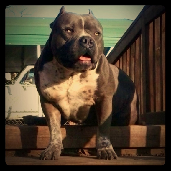 >>>>More pics Of My Bae<<<<