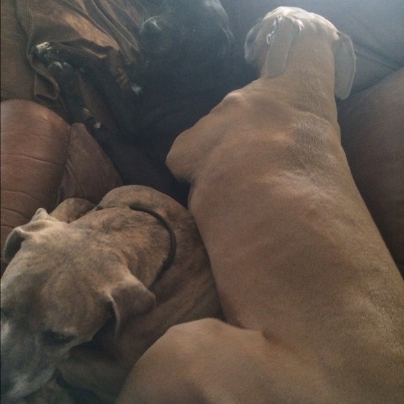 Meet Your Posher! - Picture 3 of 4