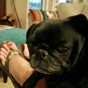 Meet your Posher, Tonya