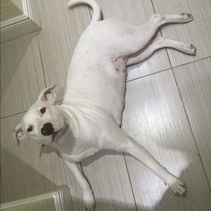 Meet your Posher, Diana