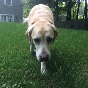 Meet your Posher, Dagny