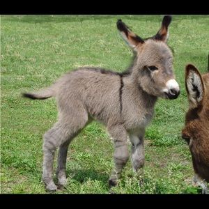 Meet your Posher, Kay