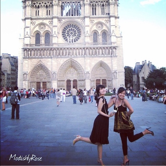 Meet your Posher, Rose - Picture 2 of 5