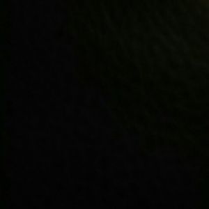 Meet your Posher, Alyza