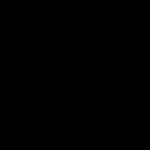 Meet your Posher, Max