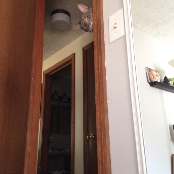 ✨meet your seller✨ - Picture 2 of 3