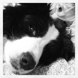 Meet your Posher, Gypsy