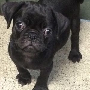 Meet your Posher, Kaitlyn