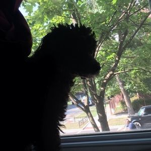 Meet your Posher, Yvette