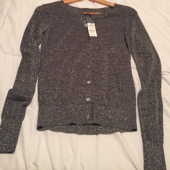Express sequin button down light weight sweater.