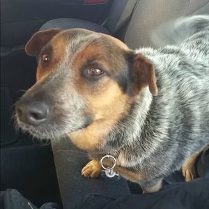 Meet your Posher, Justine