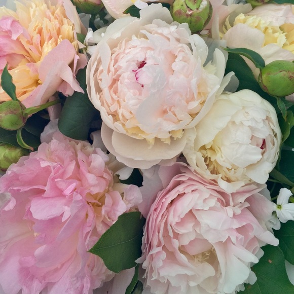 Meet your Posher, Christina