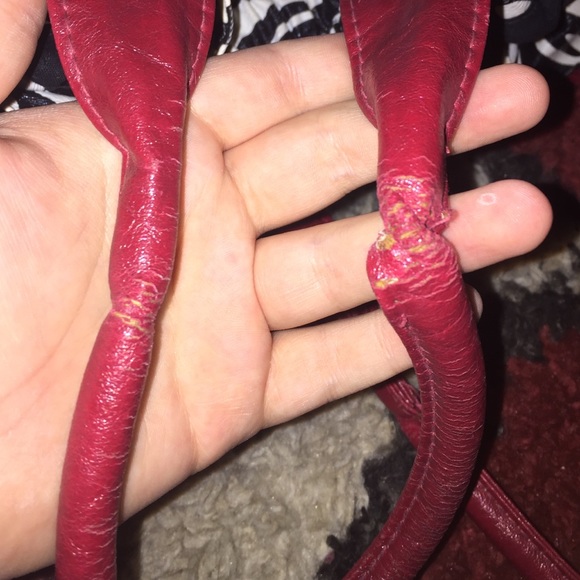 Zebra Purse - Picture 4 of 4