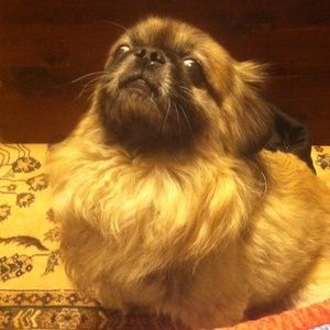 Meet your Posher, Mary