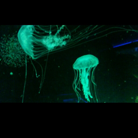 We're all smiles because we have no choice. - Picture 2 of 3