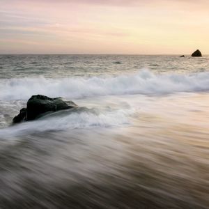 Meet your Posher, Shawna