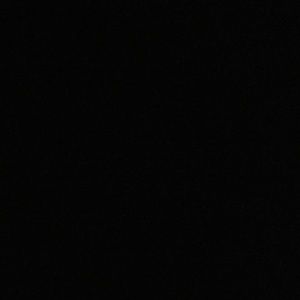 Meet your Posher, Chanel