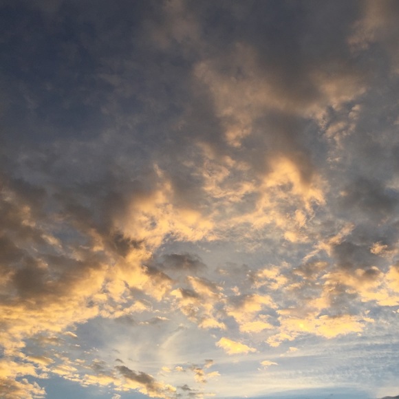 Meet your Posher, Gabriel - Picture 1 of 1