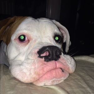 Meet your Posher, Ryan