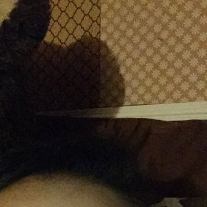 Meet your Posher, Jana