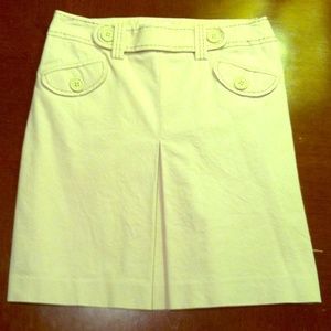 Ann Taylor skirt