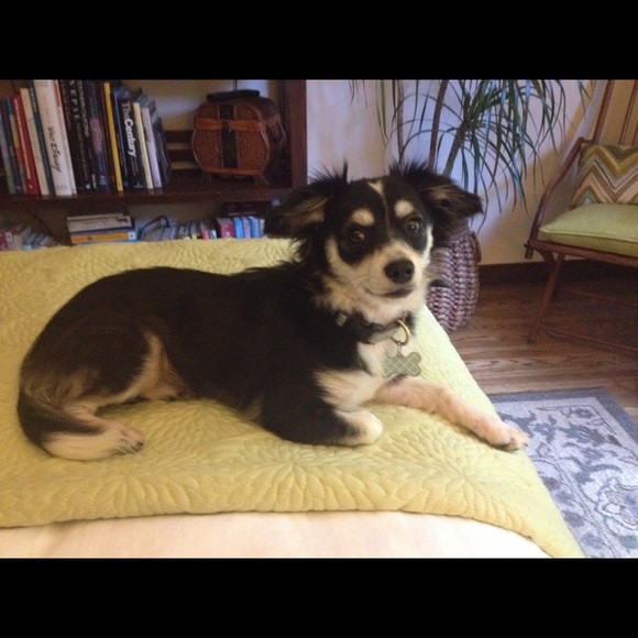 Meet your Posher, Linda - Picture 3 of 8