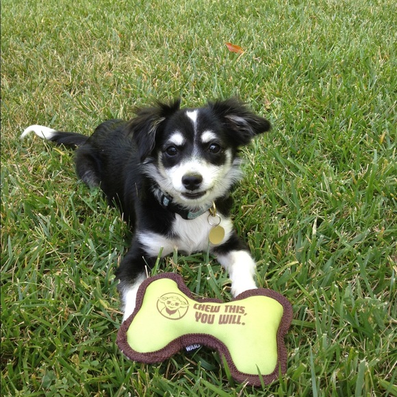 Meet your Posher, Linda - Picture 4 of 8