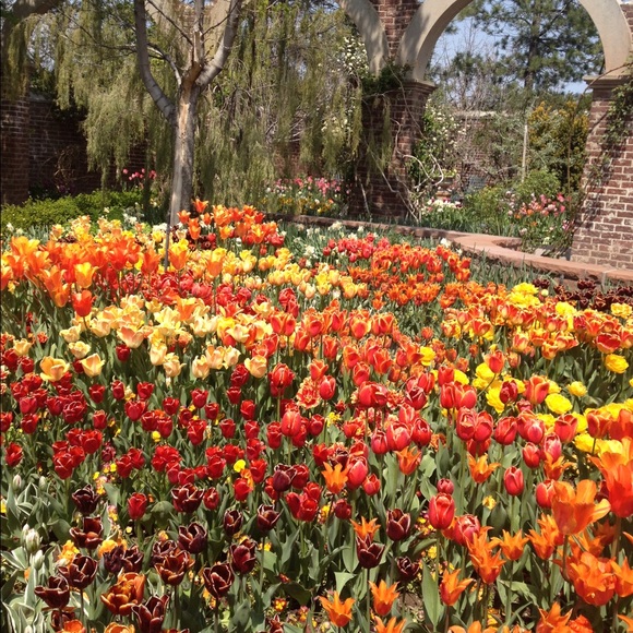 Meet your Posher, Linda - Picture 5 of 8