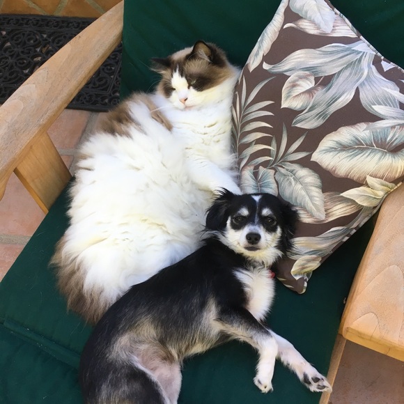 Meet your Posher, Linda - Picture 6 of 8