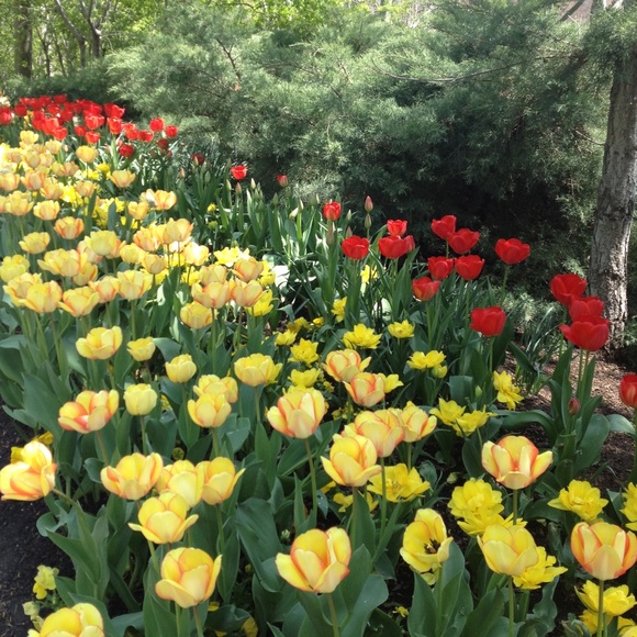 Meet your Posher, Linda - Picture 8 of 8