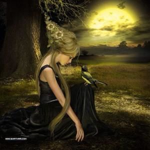 Meet your Posher, Samar