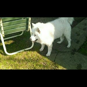 Meet your Posher, Kyler