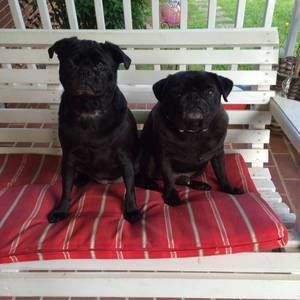 Meet your Posher, Traci