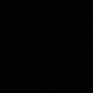 Meet your Posher, Ann