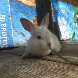 Meet your Posher, Sara