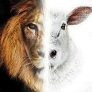 Meet your Posher, Sonya