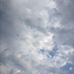 Meet your Posher, Kristi