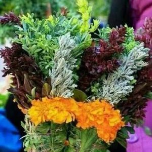 Meet your Posher, Abdullah