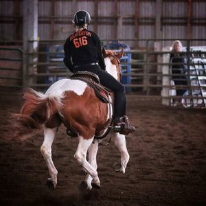 Meet your Posher, Ella