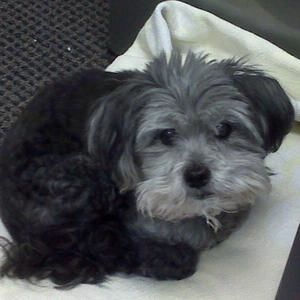 Meet your Posher, Michele